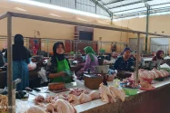 Harga Daging Ayam di Bondowoso Tembus Rp42 Ribu