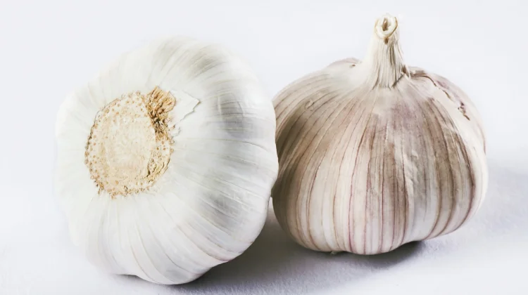 Kenali Makanan yang Bisa Menyebabkan  Aroma Tubuh Kamu