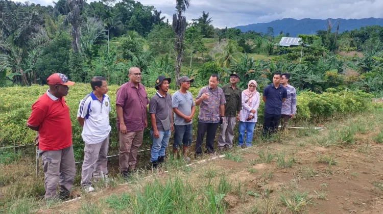Satgas Pangan Pantau Stok, Kaimana Jaga Ketahanan Nasional