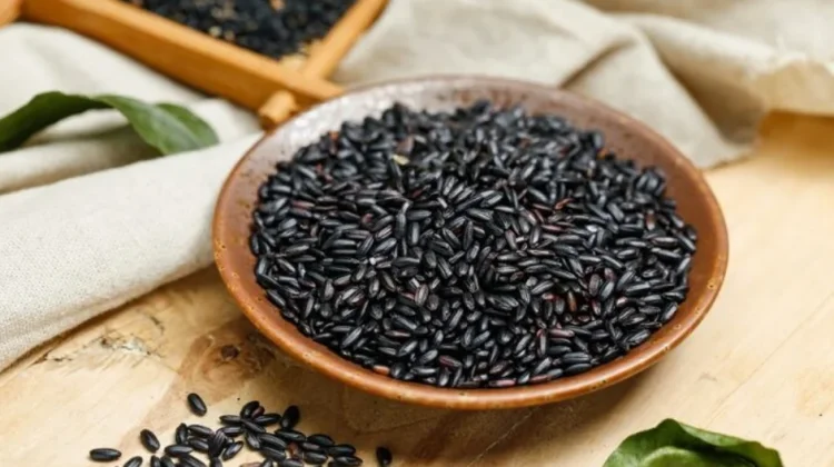 Manfaat Ketan Hitam bagi Kesehatan dan Kaya Nutrisi