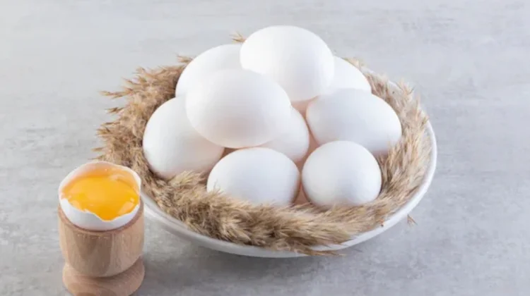 Kelebihan dan Kekurangan Telur Bebek bagi Kesehatan