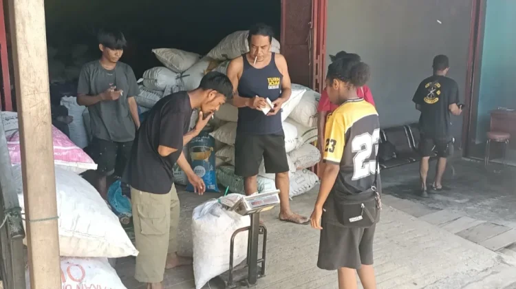 CV Dino Saputra Dukung Ekonomi Petani Pala Kaimana