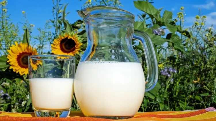 Manfaat Minum Susu di Pagi Hari