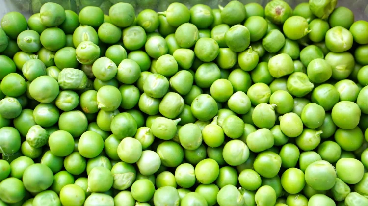 Temukan Manfaat Kesehatan di Kacang Polong