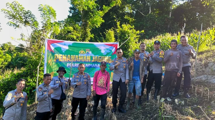 Polres Kaimana Dorong Ketahanan Pangan lewat Penanaman Jagung Bersama