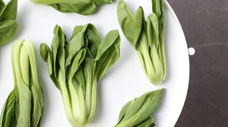 Manfaat Rutin Konsumsi Sayur Pakcoy bagi Kesehatan