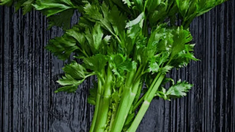 Rekomendasi Jus Sayur Terbaik untuk Turunkan Berat Badan