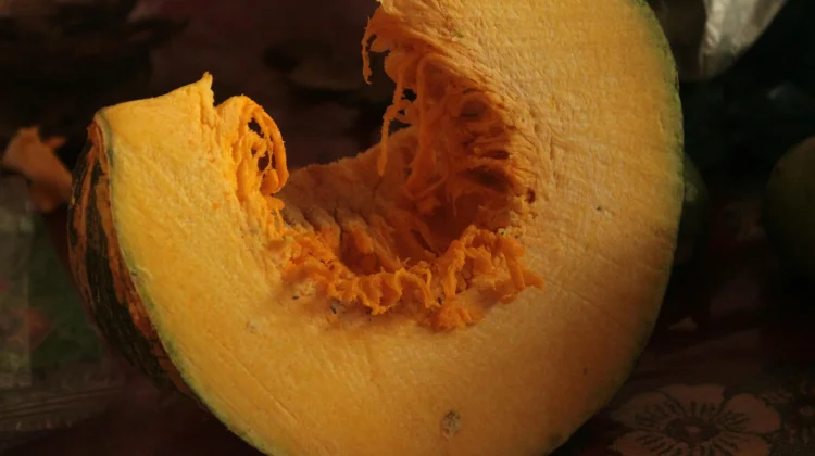 Mengapa Labu Kaya Nutrisi bagi Si Kecil