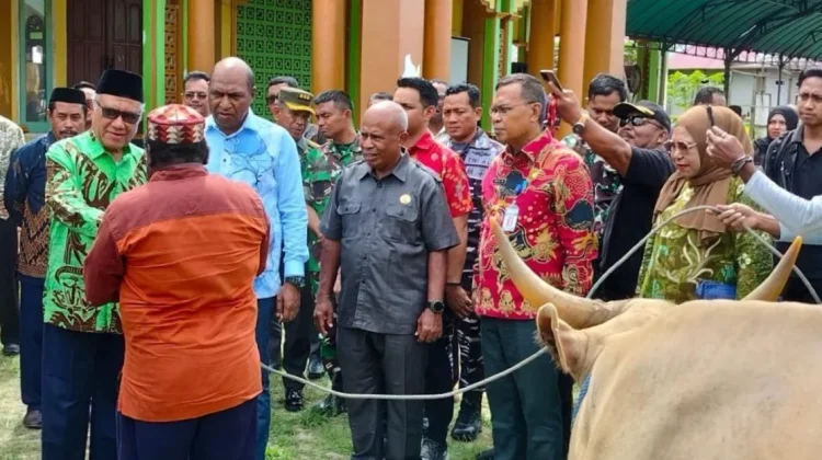 Bupati Kaimana Serahkan 33 Hewan Kurban Secara Simbolis