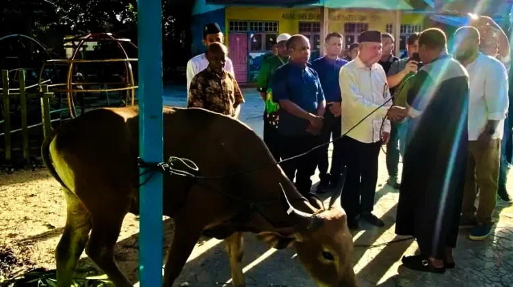 Bupati Kaimana Serahkan Tiga Puluh Tiga Hewan Kurban