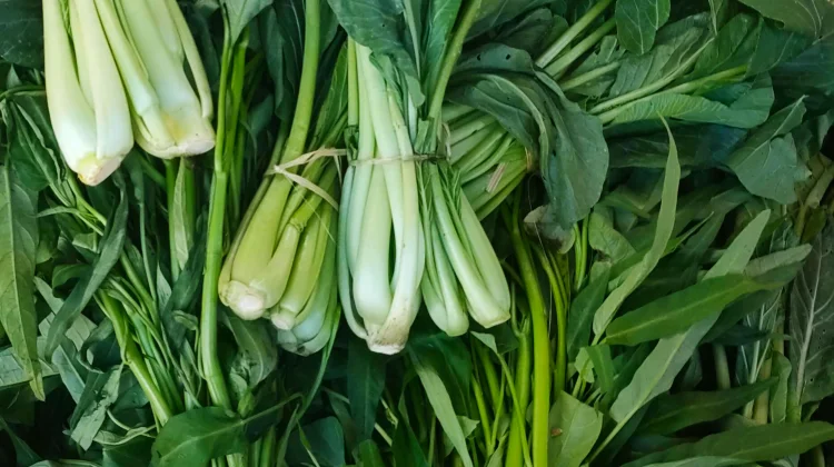 Hati-Hati! 5 Makanan Ini Bahaya jika Dipanaskan Ulang