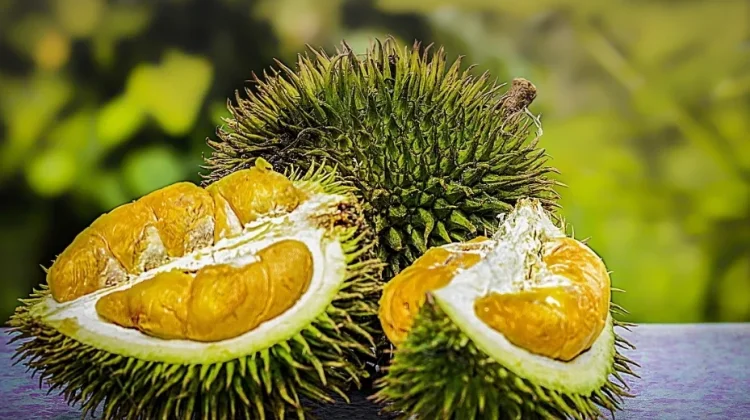Sembilan Jenis Durian yang Ditemukan di Indonesia