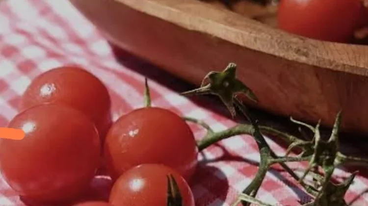 Apakah Tomat termasuk Buah atau Sayur: Ini Penjelasannya