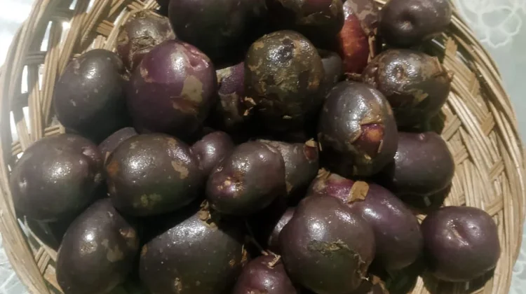 Menilik Manfaat Si Cantik Kentang Ungu untuk Kesehatan