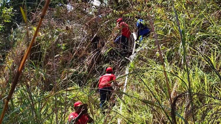 Damkar Kaimana Berhasil Padamkan Kebakaran Hutan di Jalan Sapta Taruna