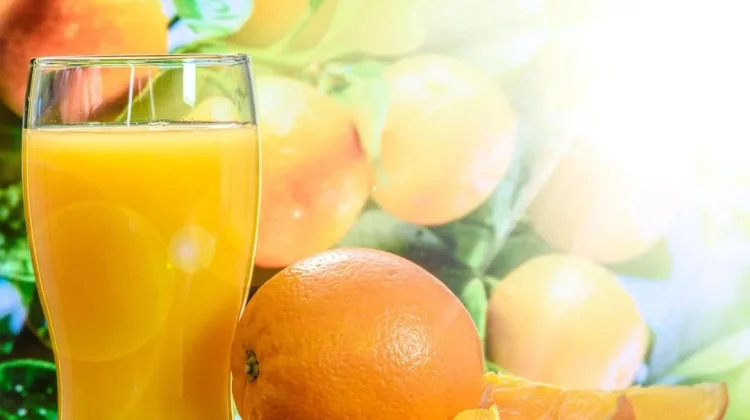 Lima Pilihan Minuman Segar dan Sehat untuk Bekal Sekolah Anak Selain Susu