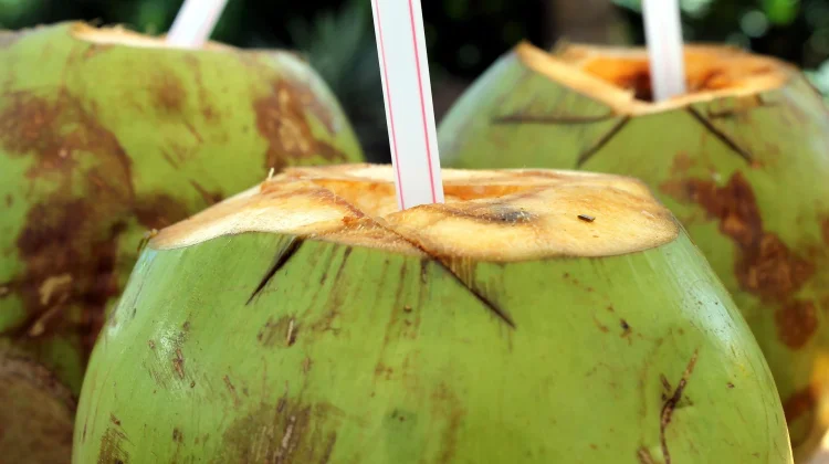Kesegaran Alami yang Kaya Manfaat: Ini Khasiat Minum Air Kelapa bagi Tubuh