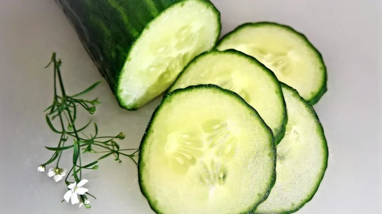 Segar dan Sehat: 5 Pilihan Sayur Tinggi Air untuk Hadapi Cuaca Panas