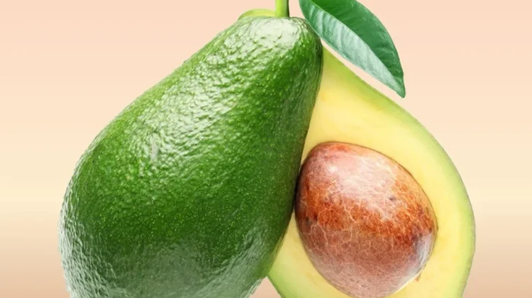 Daftar Makanan Lezat Pembersih Kolesterol Jahat dalam Tubuh