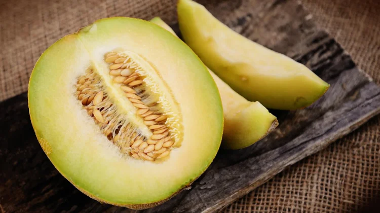 Rubah Cara Penyimpanan Melon yang Sudah Terbuka, agar tidak Tercemar Bakteri