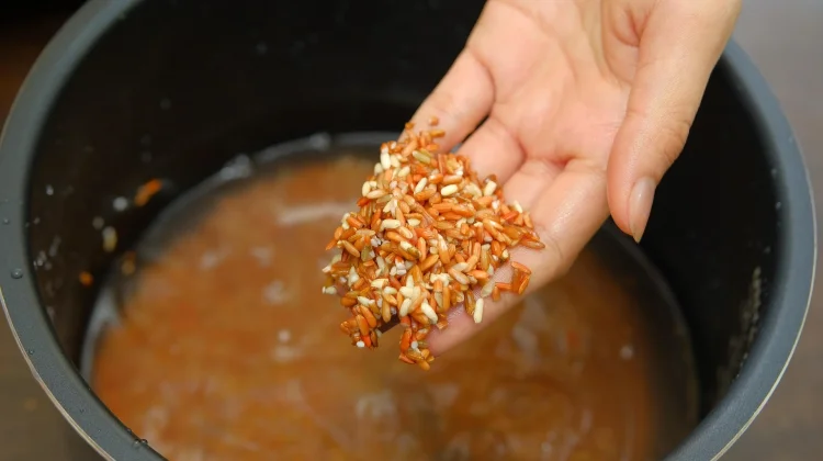 Ketahui Manfaat Mencuci Beras sebelum di Masak