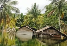Pemda Kaimana Siapkan Hunian Korban Banjir