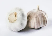 Kenali Makanan yang Bisa Menyebabkan  Aroma Tubuh Kamu