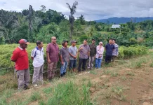 Satgas Pangan Pantau Stok, Kaimana Jaga Ketahanan Nasional