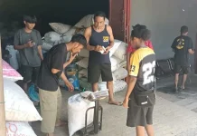 CV Dino Saputra Dukung Ekonomi Petani Pala Kaimana