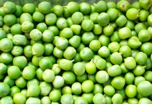 Temukan Manfaat Kesehatan di Kacang Polong