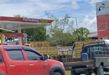 Solar Subsidi Jadi Pilihan Sopir Truck usai Dexlite Naik