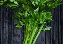 Rekomendasi Jus Sayur Terbaik untuk Turunkan Berat Badan