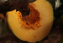 Mengapa Labu Kaya Nutrisi bagi Si Kecil