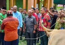 Bupati Kaimana Serahkan 33 Hewan Kurban Secara Simbolis