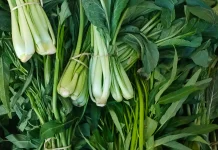 Hati-Hati! 5 Makanan Ini Bahaya jika Dipanaskan Ulang