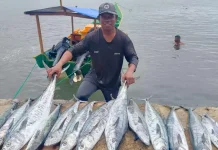Biaya Melaut Naik, Nelayan Kaimana Tetap Cari Ikan