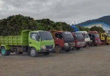 Permintaan Pisang Timika Capai 60 Ton, Petani Kaimana Kewalahan Penuhi Pasokan