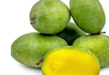 Mengenal Mangga Kweni dan 5 Manfaatnya untuk Kesehatan