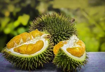 Sembilan Jenis Durian yang Ditemukan di Indonesia