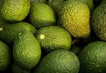 Manfaat Sehat dari Mengonsumsi Buah Alpukat