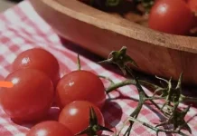 Apakah Tomat termasuk Buah atau Sayur: Ini Penjelasannya