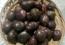 Menilik Manfaat Si Cantik Kentang Ungu untuk Kesehatan