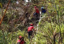 Damkar Kaimana Berhasil Padamkan Kebakaran Hutan di Jalan Sapta Taruna