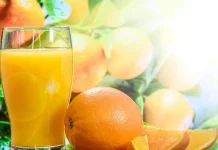 Lima Pilihan Minuman Segar dan Sehat untuk Bekal Sekolah Anak Selain Susu