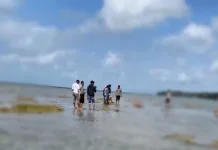 Warga Kaimana Digegerkan Penemuan Mayat Pria di Pantai Bantemin