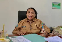 DP3A Kaimana Catat 81 Kasus Kekerasan Anak, Kesehatan Mental Jadi Sorotan