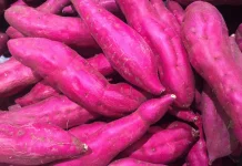 Kaya Antioksidan dan Nutrisi, Ini Khasiat Ubi Ungu Bagi Kesehatan