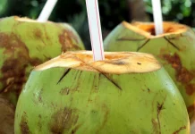 Kesegaran Alami yang Kaya Manfaat: Ini Khasiat Minum Air Kelapa bagi Tubuh