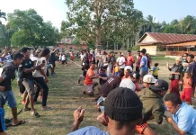 Semarak Menyongsong HUT Paroki Santa Monika Kaimana, Lomba Tarik Tambang Digelar