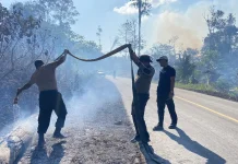 Polres Kaimana dan Damkar Padamkan Karhutla di Kampung Wermura